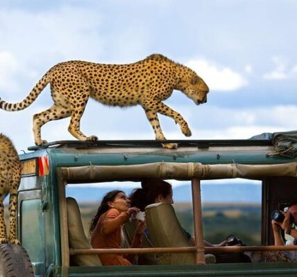 Masai Mara